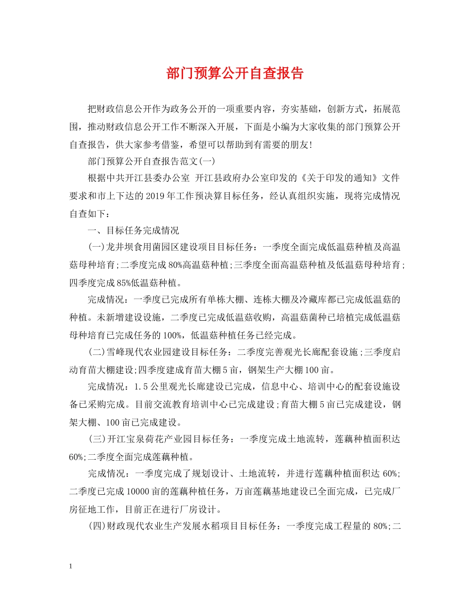 部门预算公开自查报告 _第1页