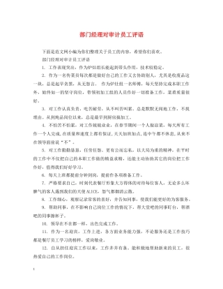 部门经理对审计员工评语 