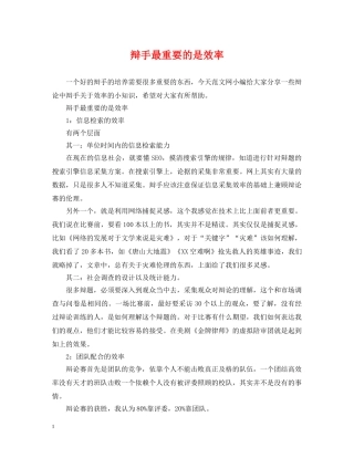 辩手最重要的是效率 