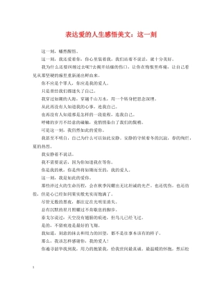表达爱的人生感悟美文：这一刻 