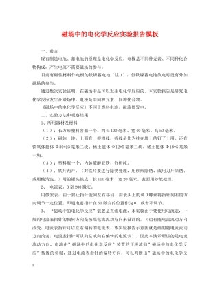 磁场中的电化学反应实验报告模板 