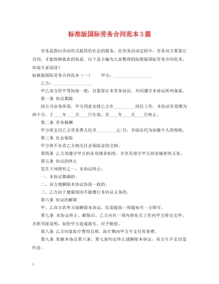 标准版国际劳务合同范本3篇 