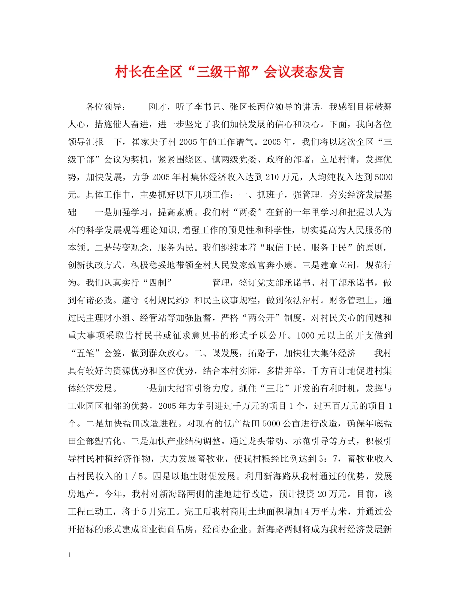 村长在全区“三级干部”会议表态发言 _第1页