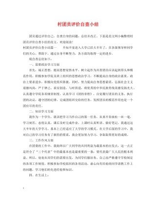 村团员评价自查小结 