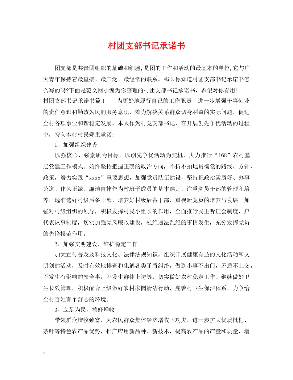 村团支部书记承诺书 _第1页