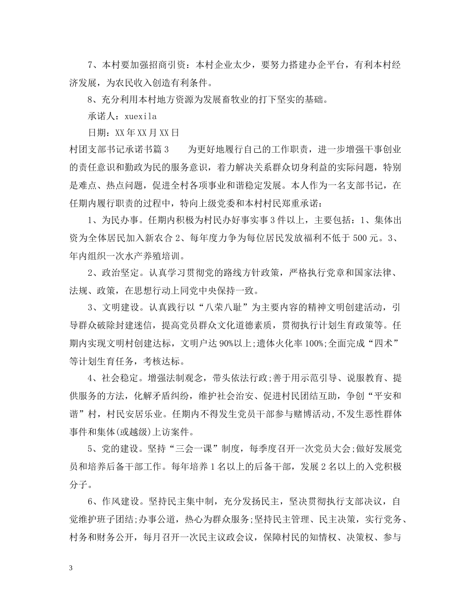 村团支部书记承诺书 _第3页