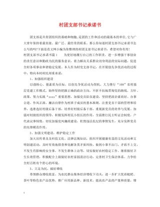 村团支部书记承诺书 