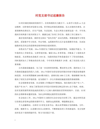 村党支部书记述廉报告 