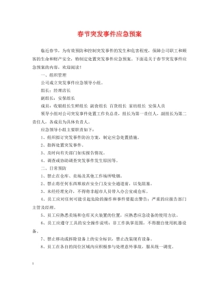 春节突发事件应急预案 