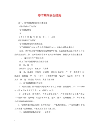 春节期间安全措施 