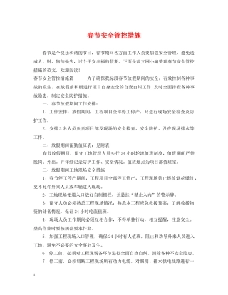 春节安全管控措施 