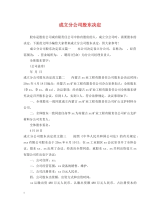 成立分公司股东决定 