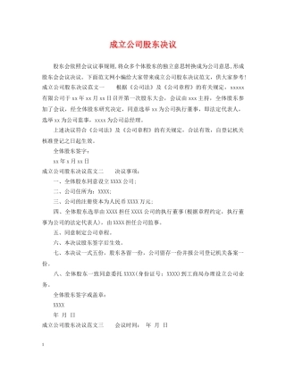 成立公司股东决议 