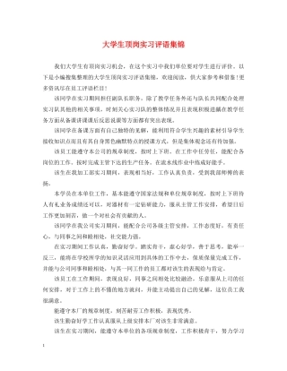 大学生顶岗实习评语集锦2 