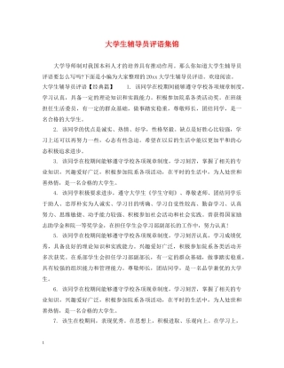 大学生辅导员评语集锦 