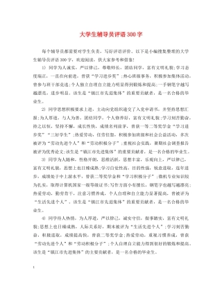 大学生辅导员评语300字 