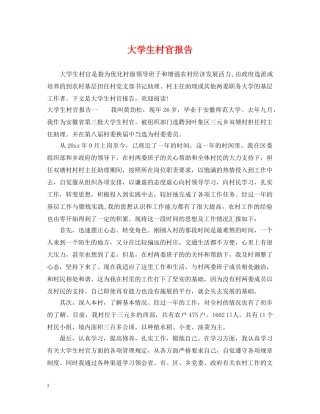 大学生村官报告 