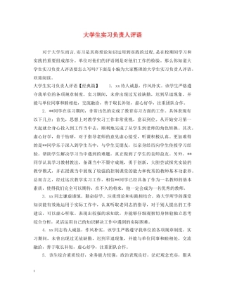 大学生实习负责人评语 