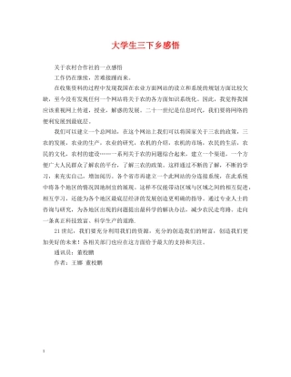 大学生三下乡感悟 
