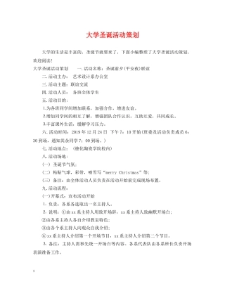 大学圣诞活动策划 