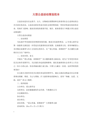 大型公益活动策划范本 
