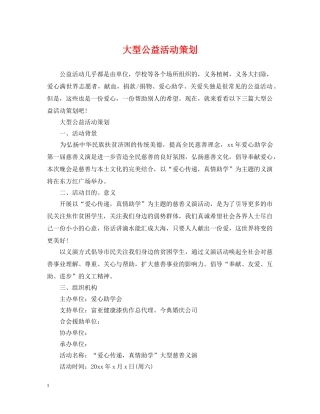 大型公益活动策划 