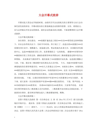 大会开幕式致辞 