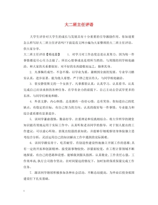 大二班主任评语 