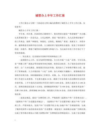 城管办上半年工作汇报 