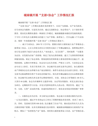 城南镇开展“支部+协会”工作情况汇报 