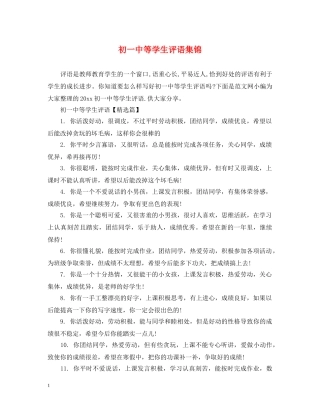 初等学生评语集锦