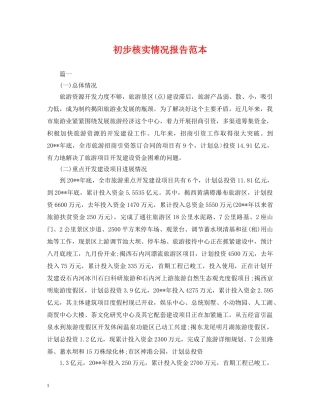 初步核实情况报告范本