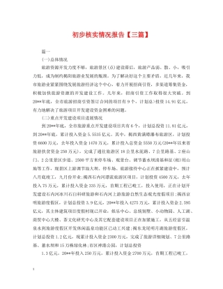 初步核实情况报告【三篇】