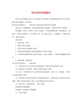 初中化学实验报告