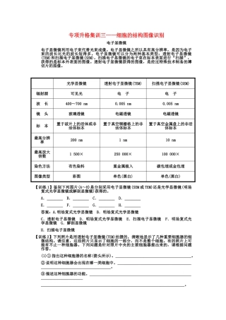创新设计2011高考生物一轮复习专项集训3 细胞的结构图像识别1