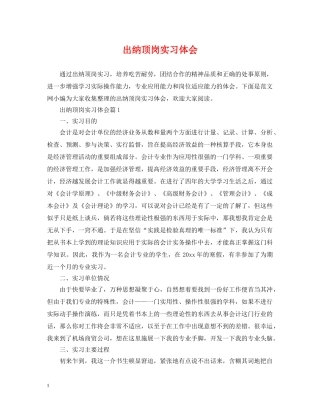 出纳顶岗实习体会