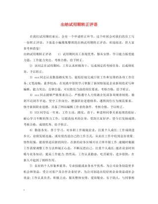 出纳试用期转正评语