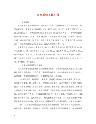 ×乡武装工作汇报