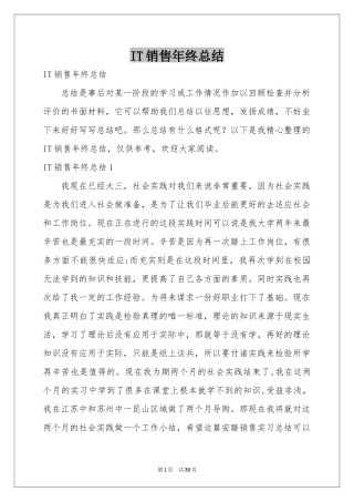 IT销售年终参考总结