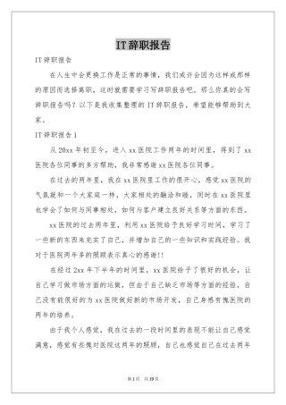 IT辞职报告