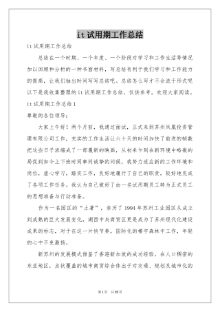 it试用期工作参考总结