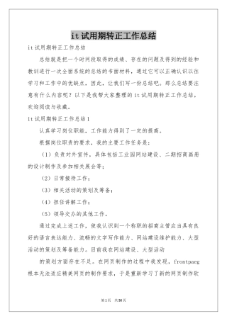it试用期转正工作参考总结