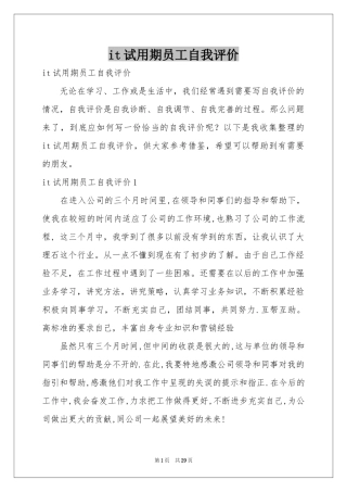 it试用期员工自我评价