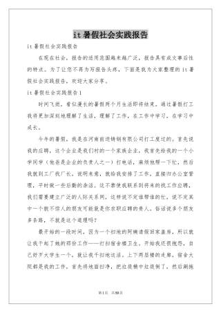 it暑假社会实践报告