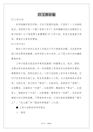 IT工作参考计划