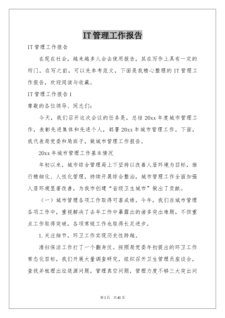 IT管理工作报告