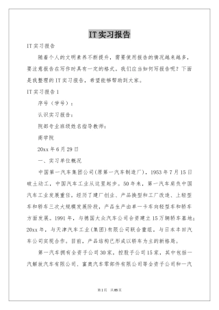 IT实习报告