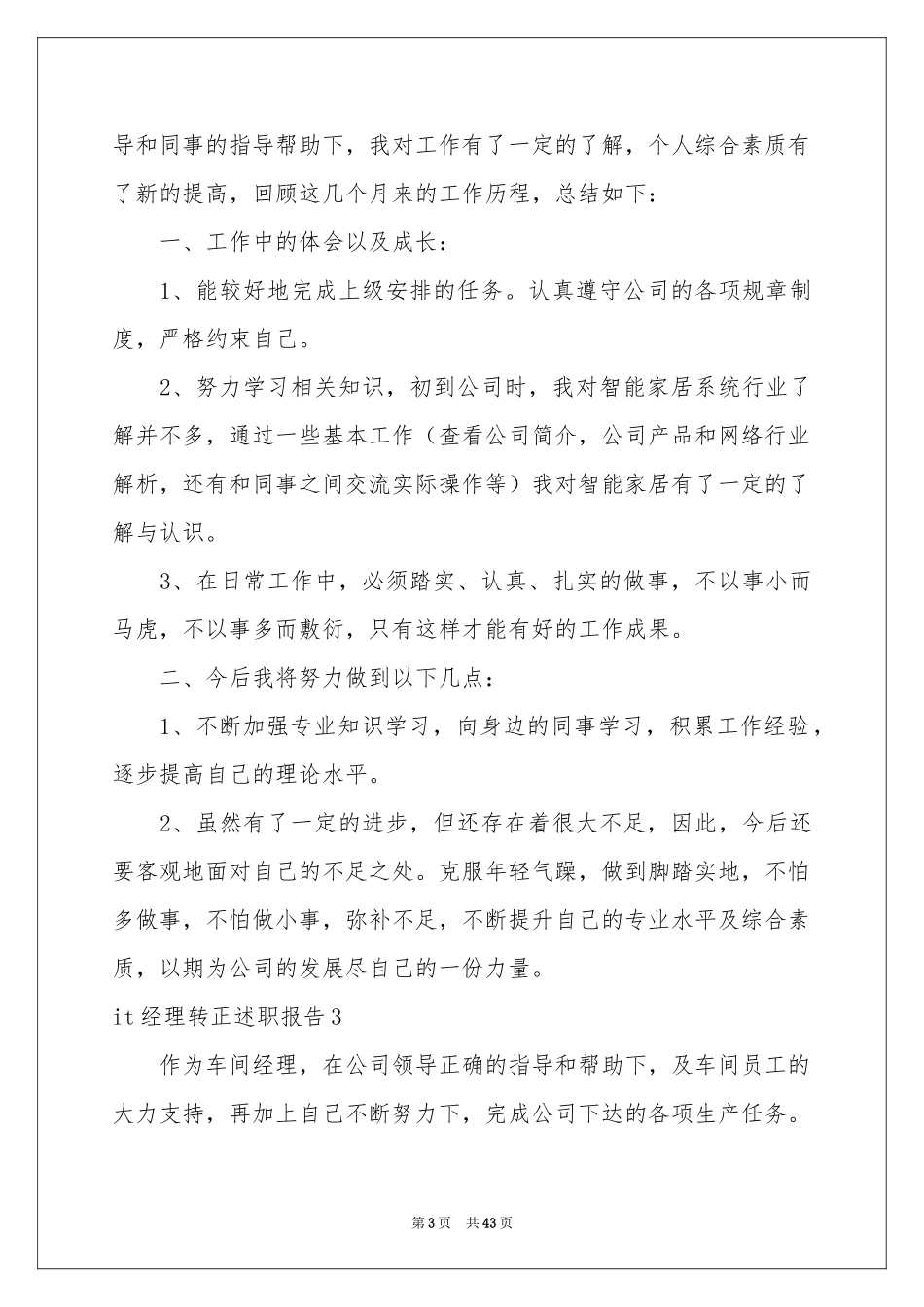 it经理转正述职报告_第3页