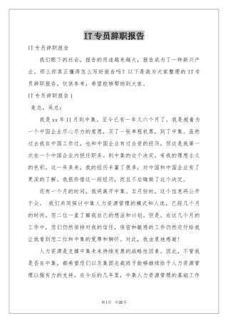 IT专员辞职报告