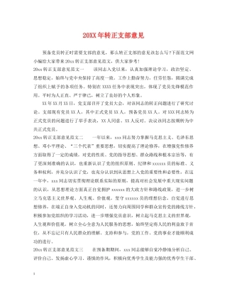20XX年转正支部意见